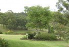Bellbird Creekresidential-landscaping-40.jpg; ?>